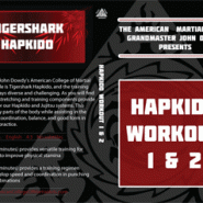 Hapkido Workout 1 & 2